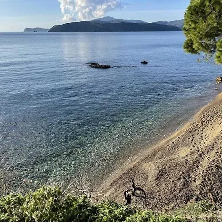 Les Bougainville - Colibri 1 *