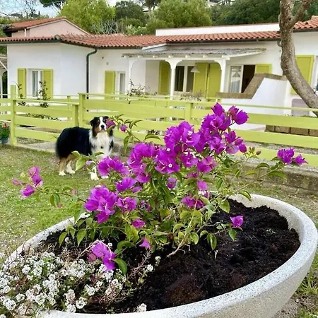 Les Bougainville - Colibri 1 Tatil Evi