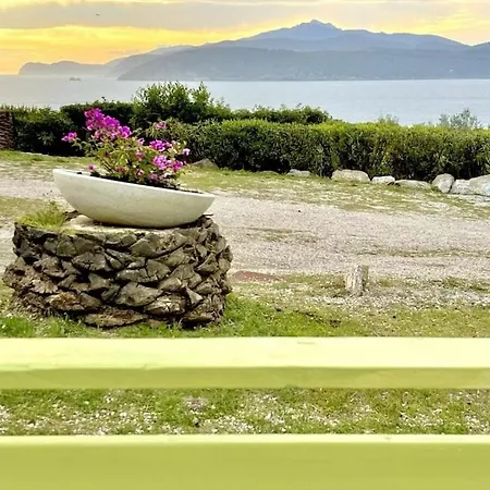 Les Bougainville - Colibri 1 *