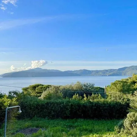 Les Bougainville - Colibri 1 *